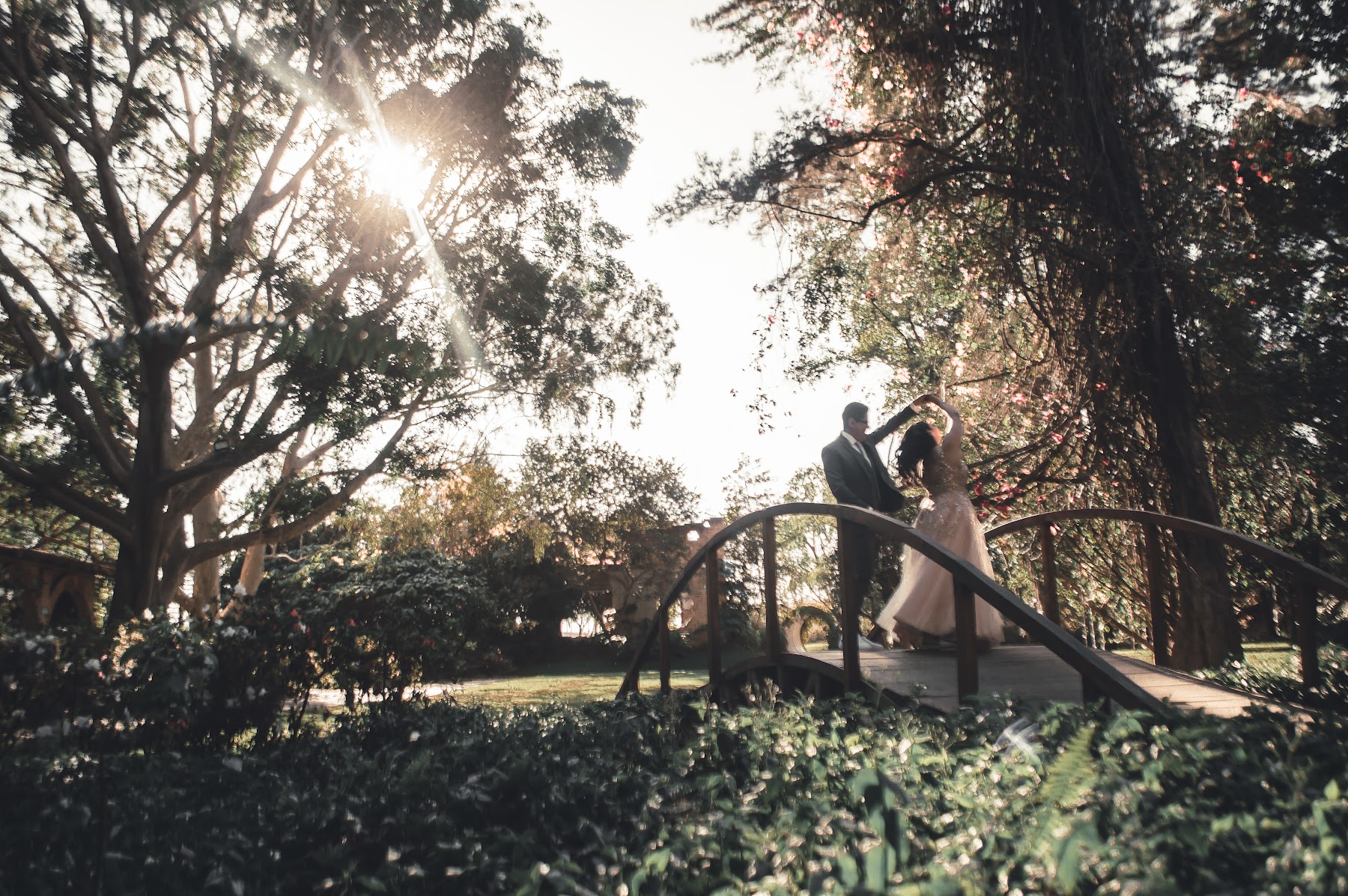 Los novios caminan por un puente rodeado de árboles.